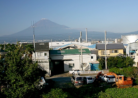 Shin Fuji