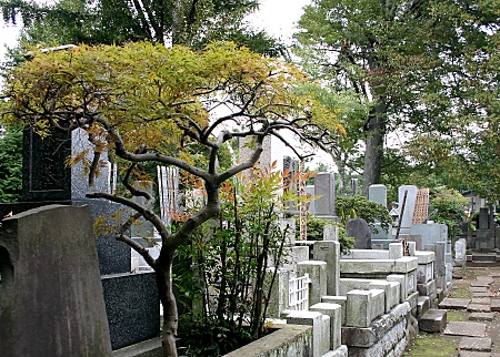 Graves in Gotoku-ji Temple, Setagaya