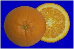 Image of two oranges