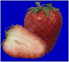 Image of two strawberries