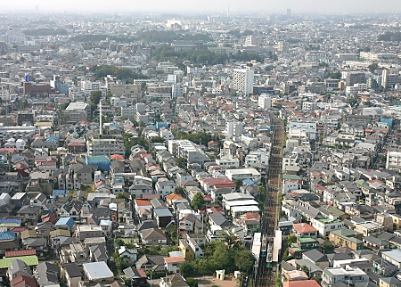 View from the Carrot Tower observatory