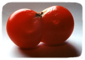 An evil looking mutant tomato
