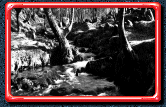 Dartmoor, Devon, 1992 (1)