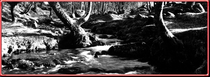 Dartmoor, Devon, 1992 (1)