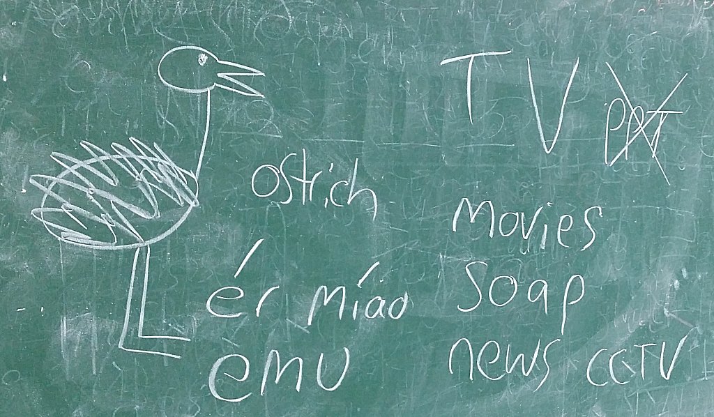 So Who Exactly Studies for the CELTA TEFL Certificate?