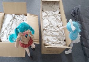 Dollfie Dream dolls unboxing a Mandarake delivery
