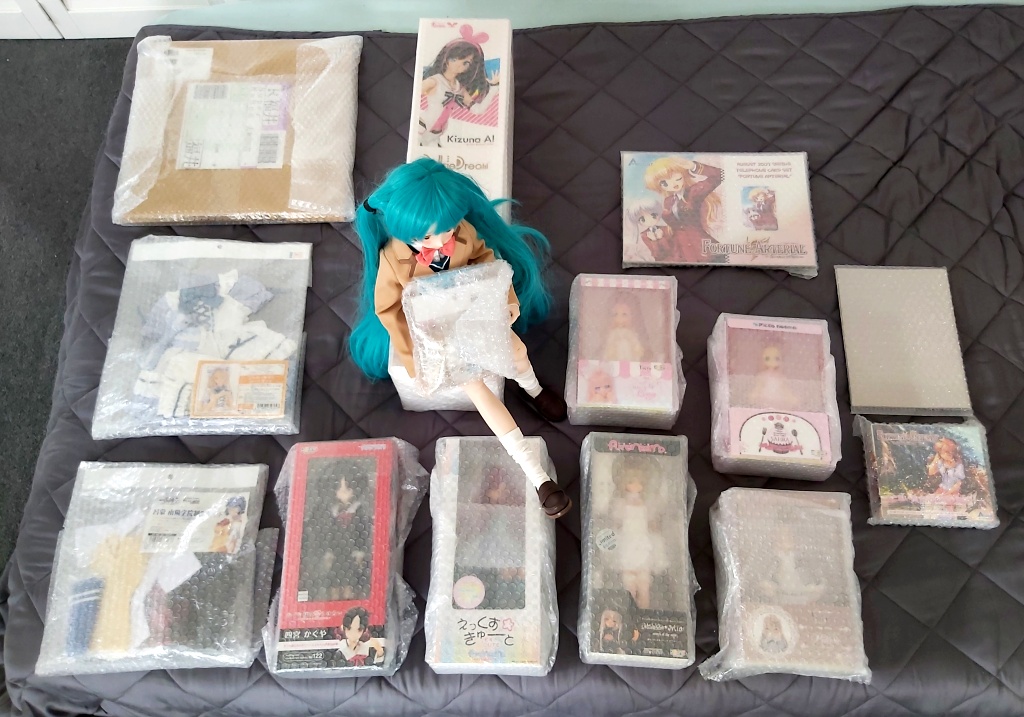 Mandarake Dollfie and Japanese Azone doll haul